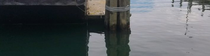 20180809_145110