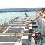 ant pier 10
