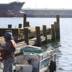 ant pier 9