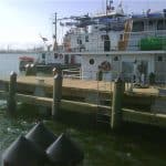 ant pier corpus christi 4