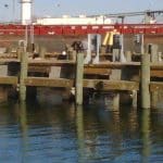 ant pier texas 3